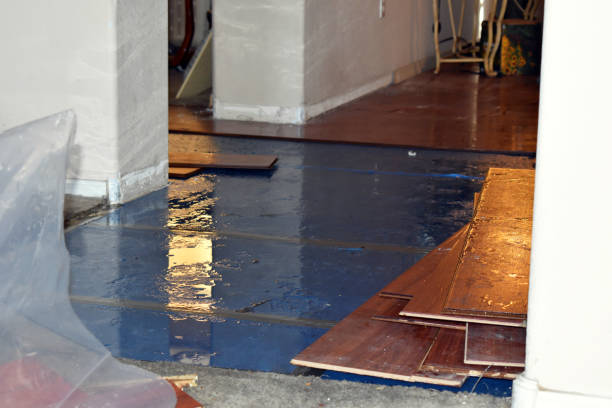 Professional Water Damage Restoration technician working in McDavid, FL